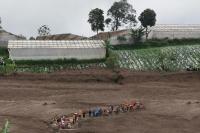 Badan Geologi Ingatkan Potensi Longsor Susulan di Cisarua