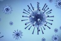 Waspada! Dua Virus Ini Berpotensi Jadi Wabah Global Selanjutnya