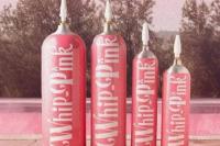 Raker dengan Komisi III DPR, Kepala BNN Dicecar Soal Whip Pink