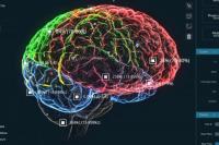 Studi: Lemak Tersembunyi Terkait dengan Penuaan Otak Lebih Cepat
