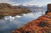 Debu Halus Diam-diam Mempercepat Pencairan Es Greenland