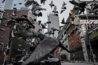 Studi: Kebisingan Manusia Ganggu Perilaku Burung dan Turunkan Reproduksi