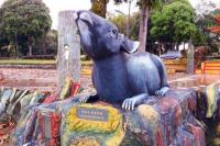 Enam Simbol Hewan Shio dan Maknanya