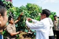 Tekan Kemiskinan Ekstrem, Kemenko PM Optimalkan Pendekatan Berbasis Kawasan