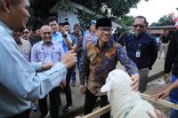 Kemendes PDT Gandeng Kurma Adzwa Farm Kembangkan Desa Domba