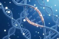 Studi Baru: Genetika Diduga Menentukan Hingga 55 Persen Umur Manusia