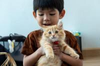 20 Februari 2026: Cek Peringatan Hari Ini