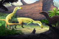 Ilmuwan Temukan Fosil Reptil Kerabat Buaya yang Berjalan dengan Dua Kaki