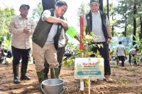 Apa Itu Hari Bakti Rimbawan? Ini Sejarahnya