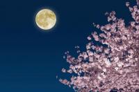 Fakta Menarik Pink Moon yang Jarang Diketahui, Bisa Dilihat dari Indonesia?