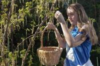 7 Lelucon April Mop Perusahaan Besar yang Pernah Menghebohkan Dunia