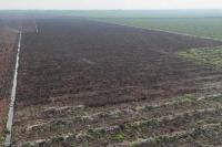 Api Karhutla di Merbau Pelalawan Padam, 20 Hektare Sawit Terdampak