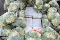 Polisi Thailand Sita 1,6 Ton Narkoba dalam Kardus Kol