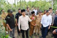 Kunjungi Desa Buah Naga Lenyek, Mendes PDT Dukung Pengembangan Desa Tematik