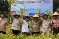 HKTI: Kondisi Riil Stok Beras Melimpah Bukti Arah Swasembada Semakin Kuat