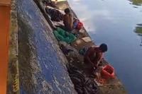 Jual Daging Ikan Sapu-Sapu, Warga Cikarang Ditangkap Satpol PP