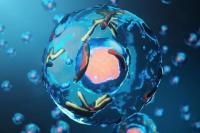 Ilmuwan Temukan Sistem Tersembunyi Pengatur Gula Darah dalam Tubuh